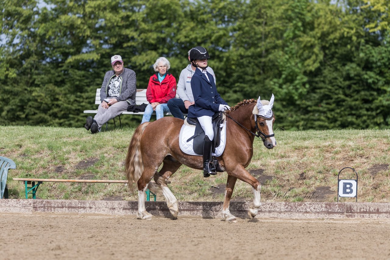 Bild 371 - Pony Akademie Turnier